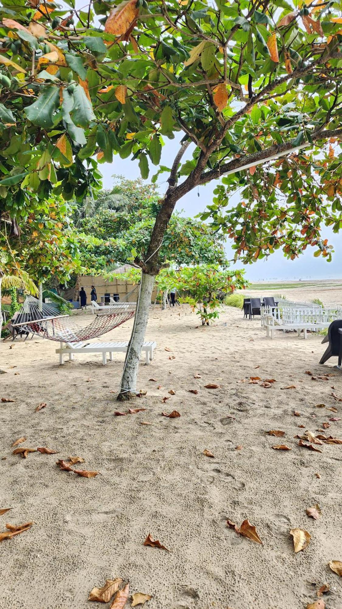 Alappuzha Palm Beach Resort, Alleppey מראה חיצוני תמונה