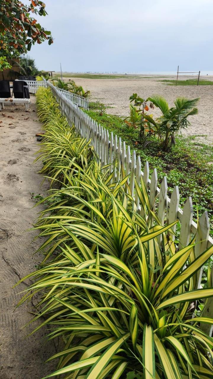 Alappuzha Palm Beach Resort, Alleppey מראה חיצוני תמונה